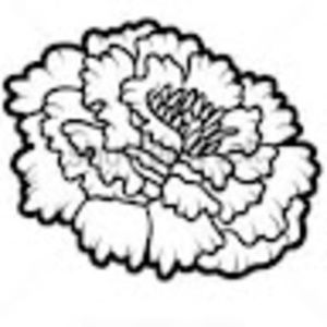 Meet your Posher, Raquel